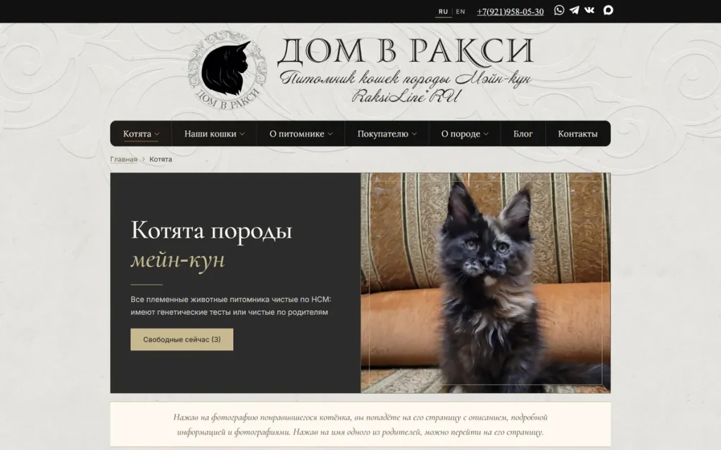Страница котят сайта питомника «Дом в Ракси» на компьютере